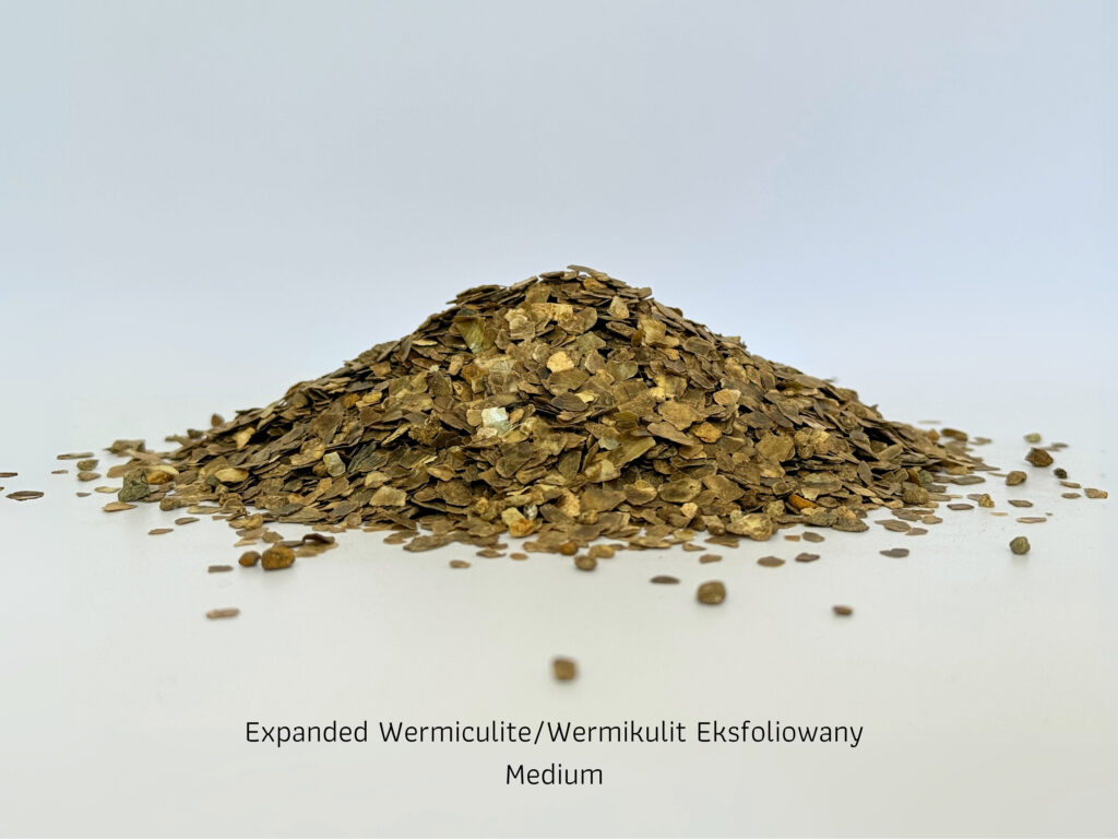 Medium W 1